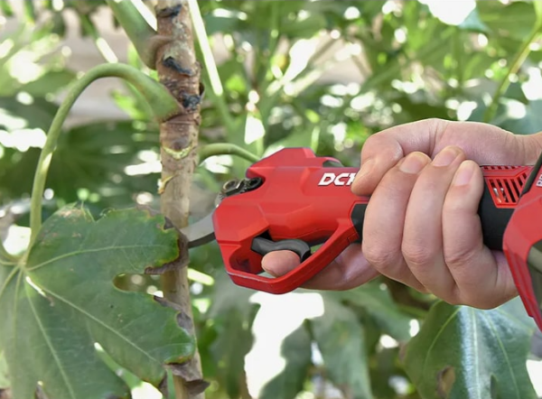 Sekator akumulatorowy DCK – 20 V – 2×2,0 Ah – KDYD35SAM